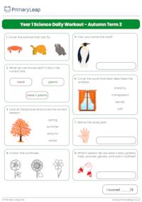 Year 1 Science Daily Workout - Autumn Term 2