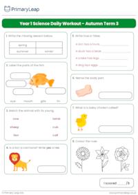 Year 1 Science Daily Workout - Autumn Term 3