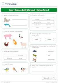 Year 1 Science Daily Workout - Spring Term 3