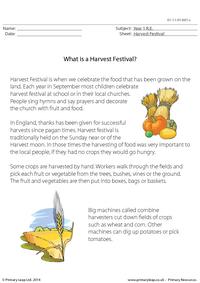What Is A Harvest Festival?