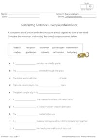 Completing Sentences - Compound Words 2
