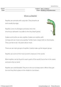 Reading comprehension - What is a Reptile? (non-fiction)