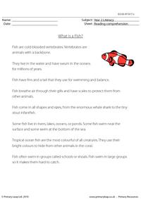 Reading comprehension - What is a Fish? (non-fiction)