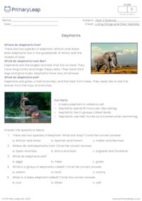 Elephants reading comprehension