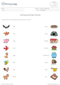 Science: Animals and their homes 1 | Worksheet 