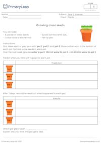 Growing cress investigation