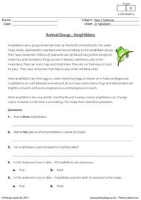 Animal groups - amphibians