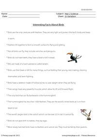 Birds - Fact sheet