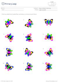 Find two identical pictures - Butterflies