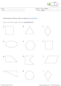 Shape - Quadrilaterals