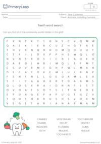 Teeth word search