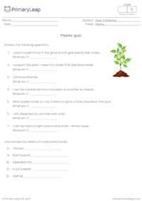 Plants quiz