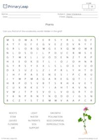 Y3 Plants word search