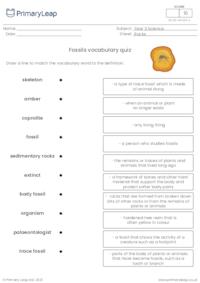 Fossils vocabulary quiz