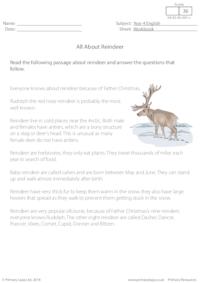 All about reindeer booklet