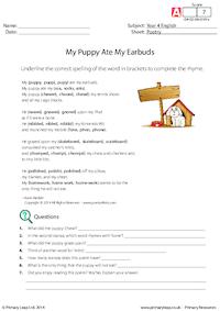 Poetry - My Puppy Ate My Earbuds