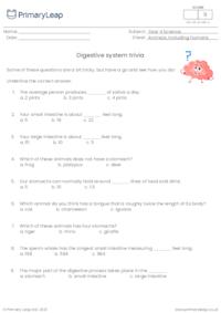 Digestive system trivia