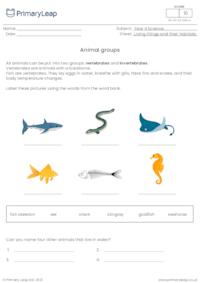Animal groups 2
