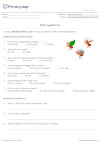 Questions on ants