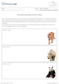 Animals and their environment