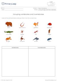 Grouping vertebrates and invertebrates