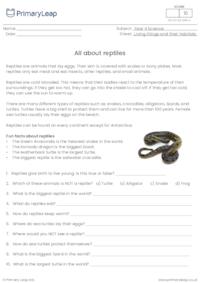 All about reptiles comprehension