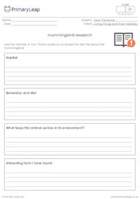 Hummingbird research report