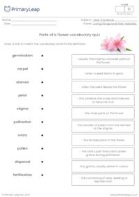 Life cycle of a flower - Matching activity