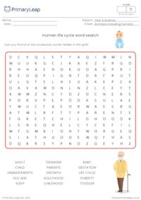 Human life cycle word search