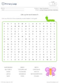 Life cycles word search