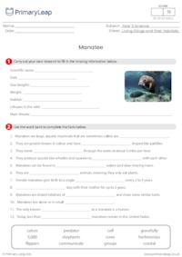 Manatee research activity