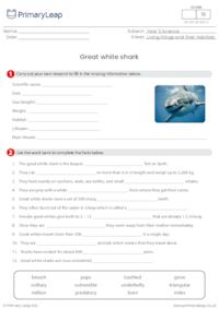 Great white shark research activity