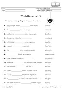 Which Homonym? (4)