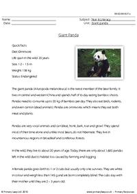 Reading comprehension - Giant panda