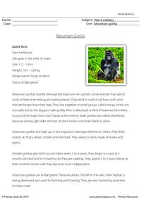 Reading comprehension - Mountain gorilla