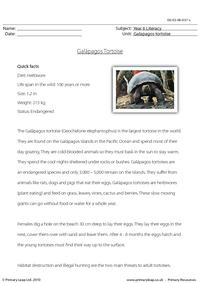 Reading comprehension - Galapagos tortoise
