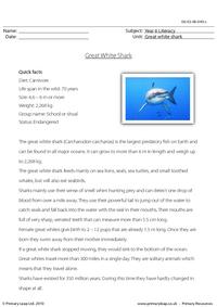 Reading comprehension - Great white shark