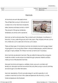 Reading comprehension - Mammals