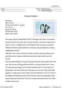 Reading comprehension - Emperor penguin