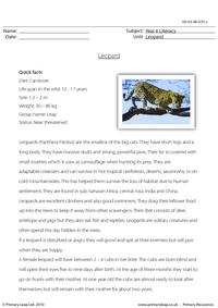 Reading comprehension - Leopard