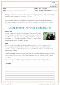 Writing a Conclusion - Chimpanzees