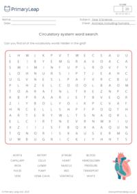 Word Search - Circulatory System