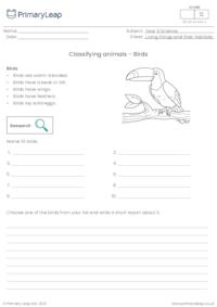 Classifying animals - Birds
