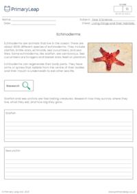 Invertebrates - Echinoderms