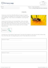 Invertebrates - Insects