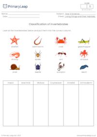 Classification of animals - Invertebrates