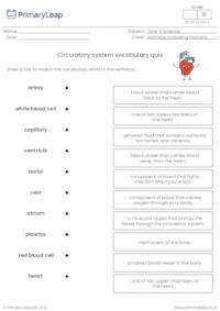 Circulatory system vocabulary quiz