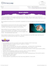 Jellyfish reading comprehension