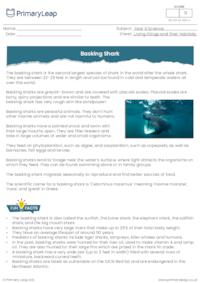Basking shark reading comprehension