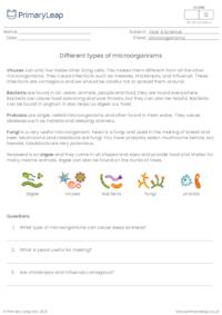 Different types of microorganisms